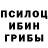 Псилоцибиновые грибы мухоморы Salwa Alifa