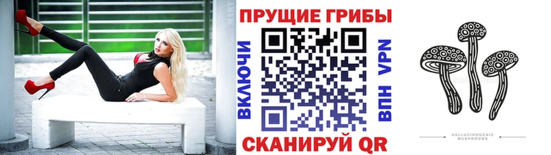 как найти закладки  Салехард  Псилоцибиновые грибы MAGIC MUSHROOMS 