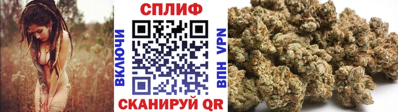 дарнет шоп  Салехард  blacksprut ССЫЛКА  Каннабис семена 